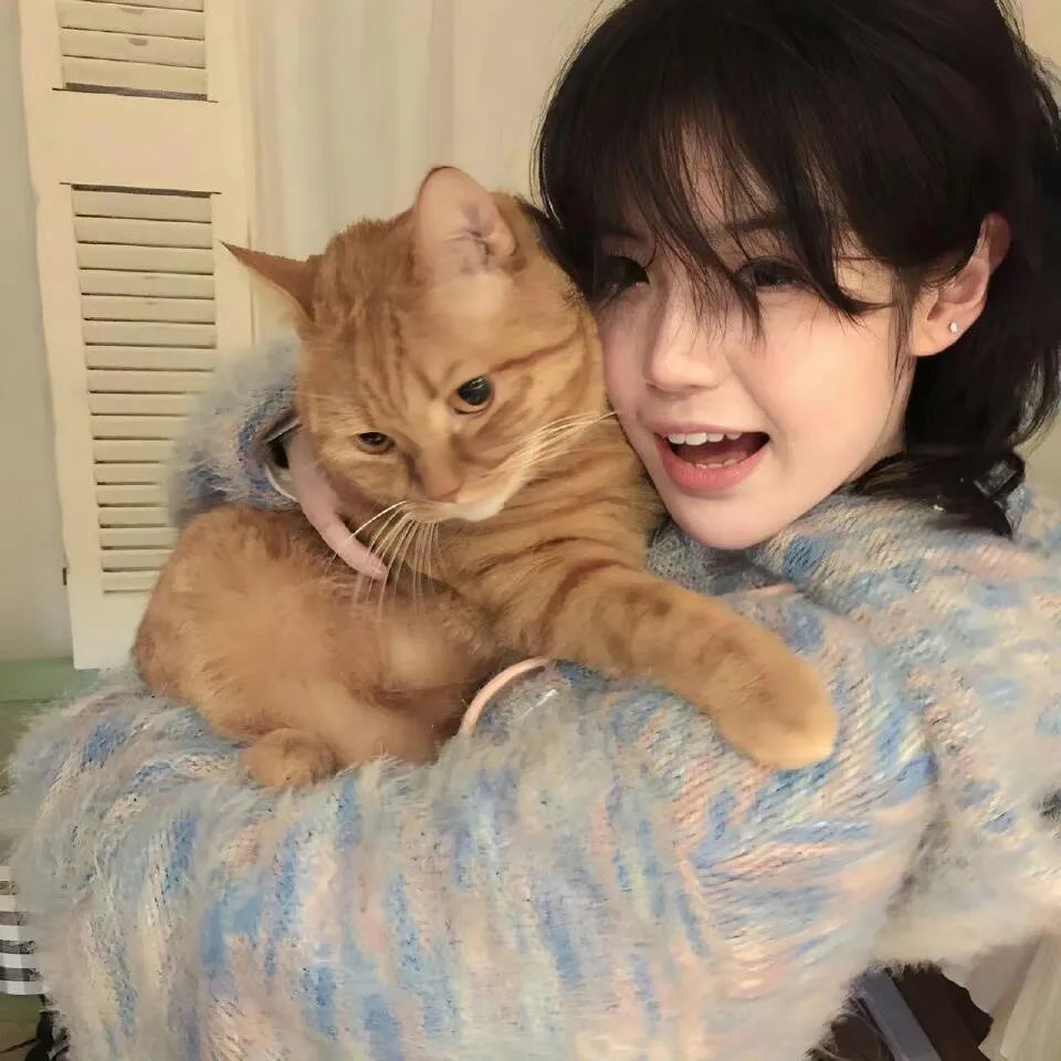 孤儿泪